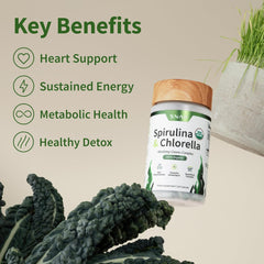 Supplements Organic Spirulina and Chlorella Capsules | Chlorophyll and Protein Rich Blue Green Algae Superfood Supplement for Energy and Immune Support, Vegan, Non GMO, Greens Blend, 120 Capsules