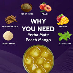 Yerba Mate Instant Tea Powder | Yerba Mate, Ashwagandha, Lion’s Mane, Chlorophyll, Peach Mango Flavor – 11.6 oz (30 Servings) – Sugar-Free, Gluten-Free, Superfood Energy & Focus Blend
