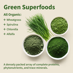 Supplements Organic Spirulina and Chlorella Capsules | Chlorophyll and Protein Rich Blue Green Algae Superfood Supplement for Energy and Immune Support, Vegan, Non GMO, Greens Blend, 120 Capsules