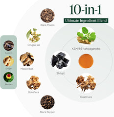 10-1 Alpha Gummies | 4000 mg Pure Himalayan Shilajit | No Added Sugar | KSM-66 Ashwagandha, Tongkat Ali, Gokshura & Black Musli | Vegan, Non-GMO, Individually Wrapped | 60 Gummies | Lab Tested, Pure & 3.5X Absorption | Support Blood Circulation