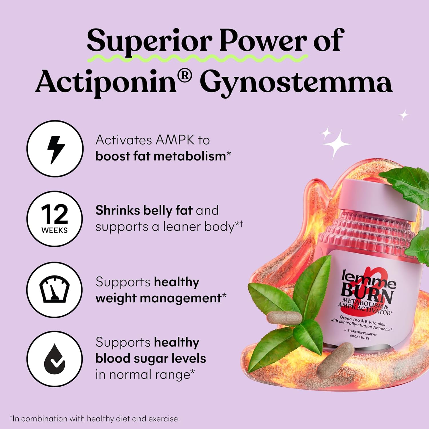 Metabolism, + AMPK Activating Supplement for Men & Women w/Clinically Studied Actiponin Gynostemma, Green Tea Extract, Vitamins B6 & B12 - Gluten Free, 60 Count