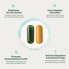 Gut Glow Bundle - Gut Health + Spirulina & Chlorella