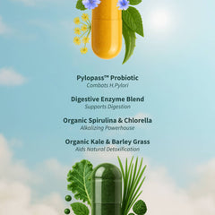 Gut Glow Bundle - Gut Health + Spirulina & Chlorella